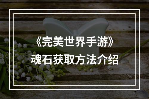 《完美世界手游》魂石获取方法介绍