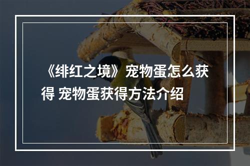 《绯红之境》宠物蛋怎么获得 宠物蛋获得方法介绍