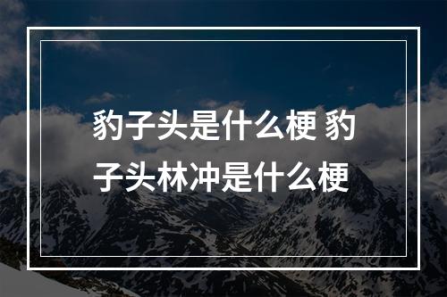 豹子头是什么梗 豹子头林冲是什么梗