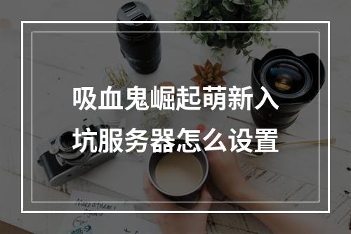 吸血鬼崛起萌新入坑服务器怎么设置