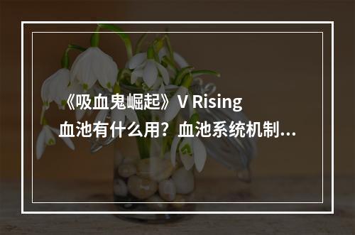 《吸血鬼崛起》V Rising血池有什么用？血池系统机制解析