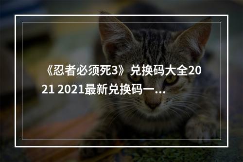 《忍者必须死3》兑换码大全2021 2021最新兑换码一览