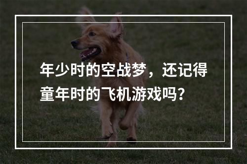 年少时的空战梦，还记得童年时的飞机游戏吗？