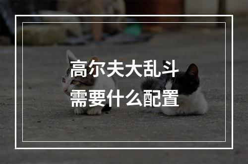 高尔夫大乱斗需要什么配置