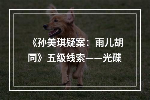 《孙美琪疑案：雨儿胡同》五级线索——光碟