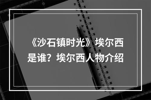 《沙石镇时光》埃尔西是谁？埃尔西人物介绍