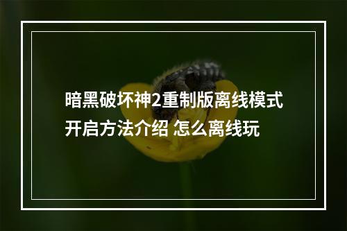 暗黑破坏神2重制版离线模式开启方法介绍 怎么离线玩