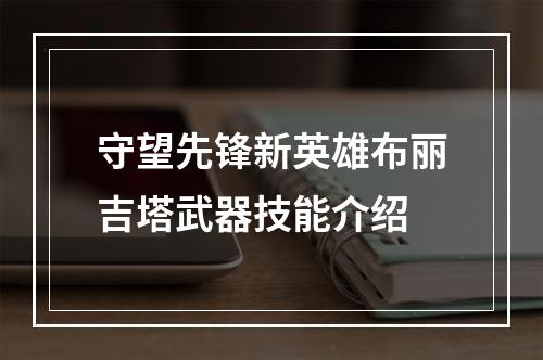 守望先锋新英雄布丽吉塔武器技能介绍