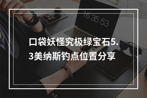 口袋妖怪究极绿宝石5.3美纳斯钓点位置分享