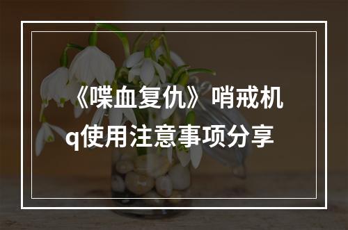 《喋血复仇》哨戒机q使用注意事项分享