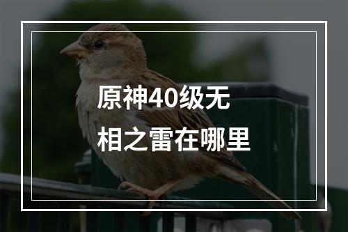 原神40级无相之雷在哪里