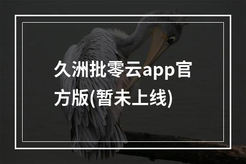 久洲批零云app官方版(暂未上线)