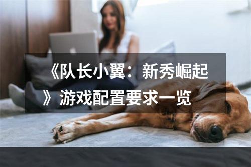 《队长小翼：新秀崛起》游戏配置要求一览