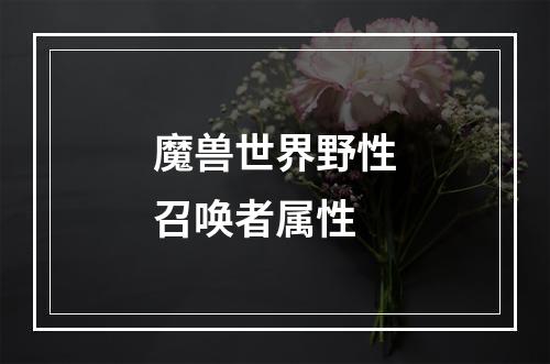 魔兽世界野性召唤者属性