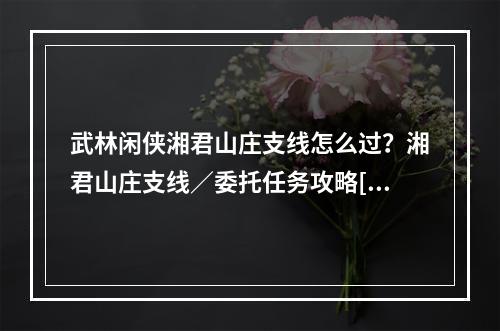 武林闲侠湘君山庄支线怎么过？湘君山庄支线／委托任务攻略[多图]