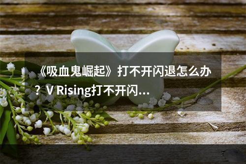 《吸血鬼崛起》打不开闪退怎么办？V Rising打不开闪退解决方法分享