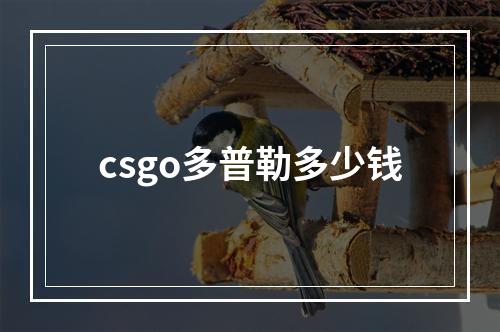 csgo多普勒多少钱