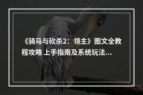 《骑马与砍杀2：领主》图文全教程攻略 上手指南及系统玩法详解