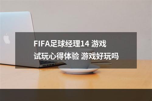 FIFA足球经理14 游戏试玩心得体验 游戏好玩吗