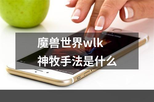 魔兽世界wlk神牧手法是什么