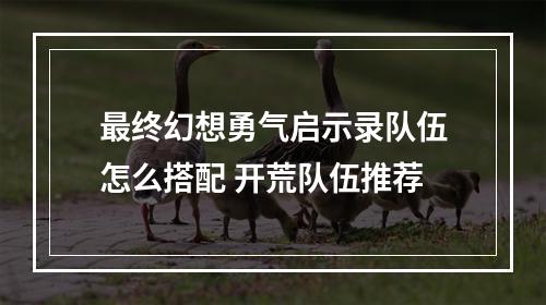 最终幻想勇气启示录队伍怎么搭配 开荒队伍推荐