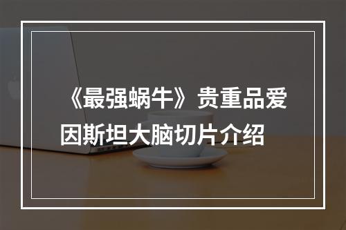 《最强蜗牛》贵重品爱因斯坦大脑切片介绍