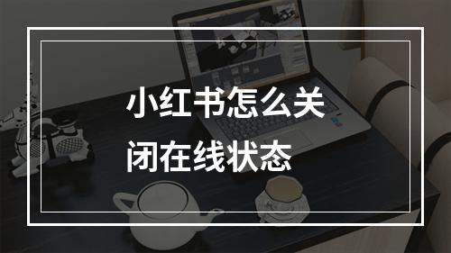 小红书怎么关闭在线状态