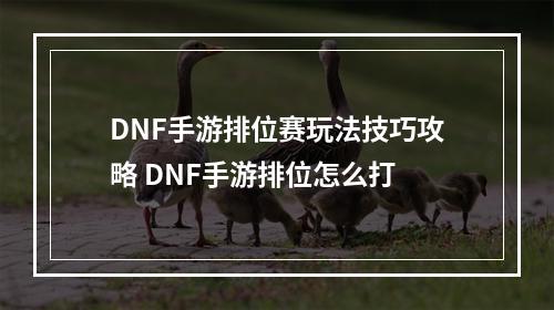 DNF手游排位赛玩法技巧攻略 DNF手游排位怎么打