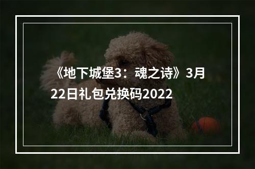 《地下城堡3：魂之诗》3月22日礼包兑换码2022