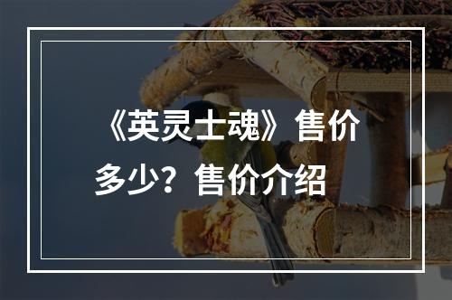 《英灵士魂》售价多少？售价介绍