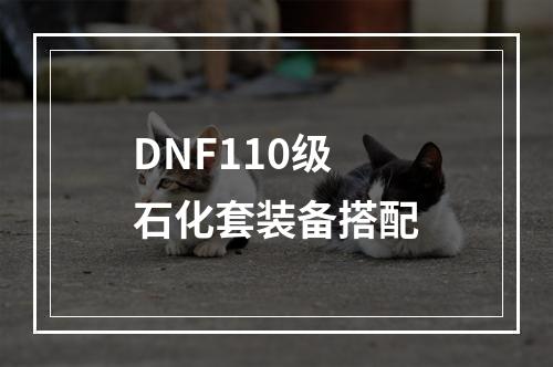 DNF110级石化套装备搭配