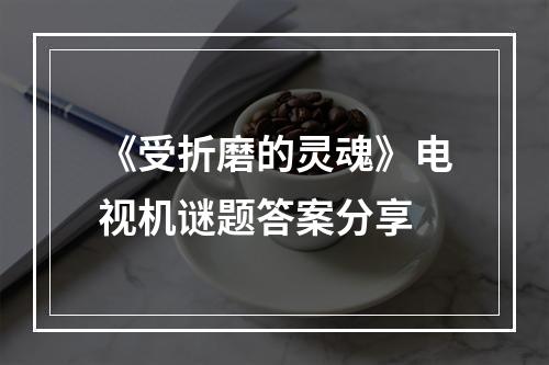 《受折磨的灵魂》电视机谜题答案分享