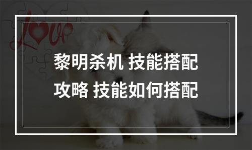 黎明杀机 技能搭配攻略 技能如何搭配