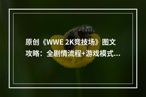 原创《WWE 2K竞技场》图文攻略：全剧情流程+游戏模式+全角色+全技能+全绝招+全挑战+全战役+锦标赛+战场之王+杀戮战场挑战+操作介绍