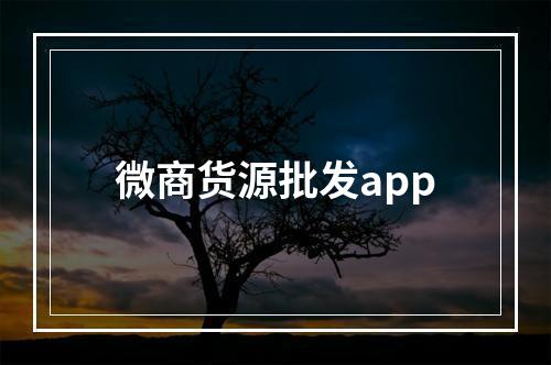 微商货源批发app