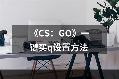 《CS：GO》一键买q设置方法