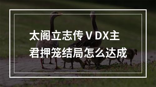 太阁立志传ⅤDX主君押笼结局怎么达成