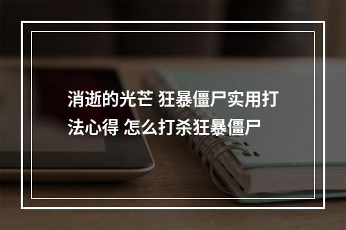 消逝的光芒 狂暴僵尸实用打法心得 怎么打杀狂暴僵尸