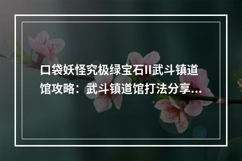 口袋妖怪究极绿宝石II武斗镇道馆攻略：武斗镇道馆打法分享[多图]