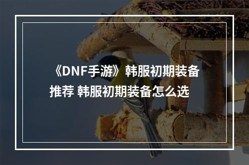 《DNF手游》韩服初期装备推荐 韩服初期装备怎么选