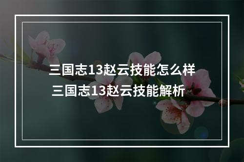 三国志13赵云技能怎么样 三国志13赵云技能解析