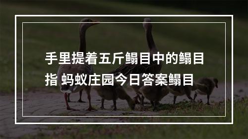 手里提着五斤鳎目中的鳎目指 蚂蚁庄园今日答案鳎目