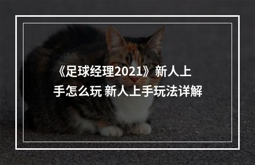 《足球经理2021》新人上手怎么玩 新人上手玩法详解