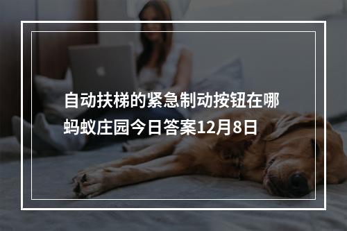 自动扶梯的紧急制动按钮在哪 蚂蚁庄园今日答案12月8日