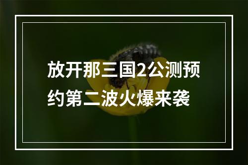 放开那三国2公测预约第二波火爆来袭