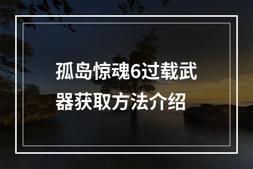 孤岛惊魂6过载武器获取方法介绍