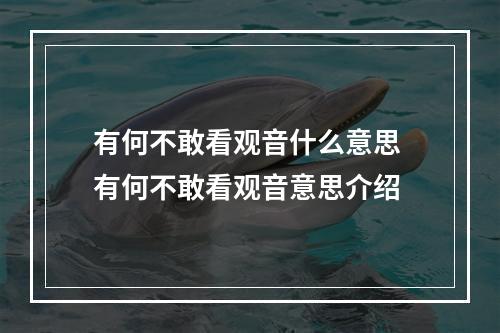 有何不敢看观音什么意思 有何不敢看观音意思介绍