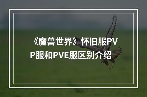 《魔兽世界》怀旧服PVP服和PVE服区别介绍