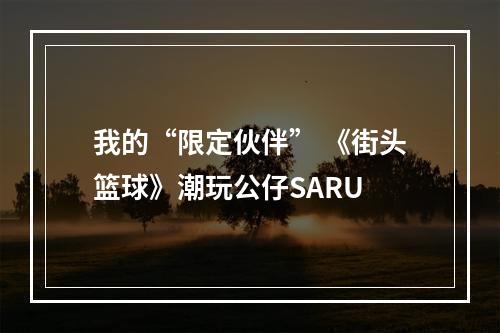 我的“限定伙伴” 《街头篮球》潮玩公仔SARU