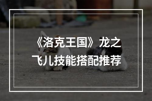 《洛克王国》龙之飞儿技能搭配推荐